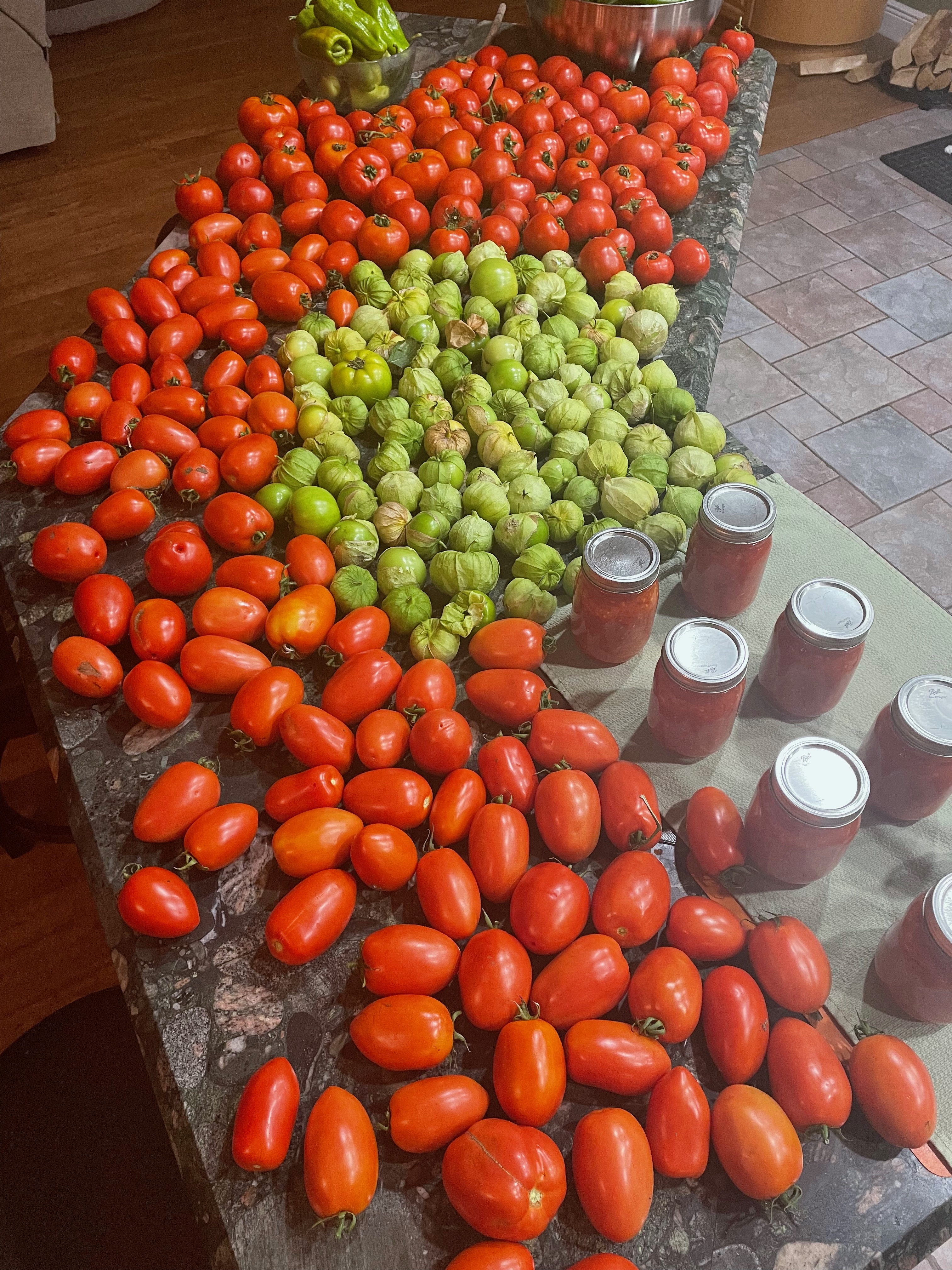 Tomatoes layed out on countertip